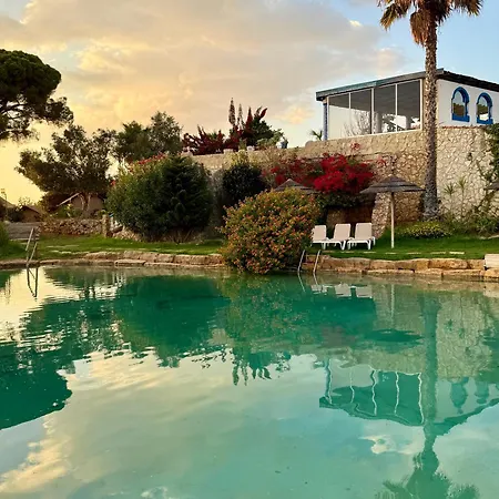 Modern Tiny House With Big Comfort *