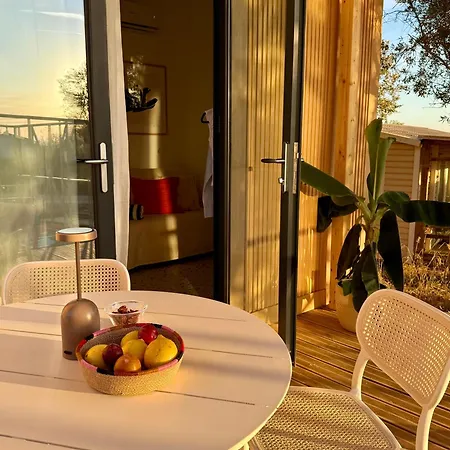 Modern Tiny House With Big Comfort 营地